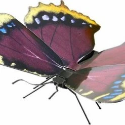 Fascinations Mourning Cloak